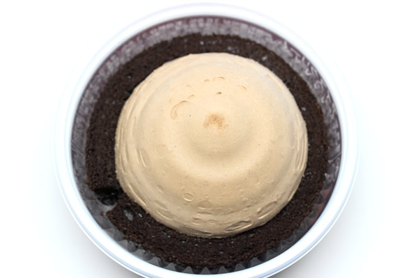 プレミアムチョコロールケーキアイス