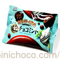 カントリーマアム 超チョコミントカロリー・価格詳細情報